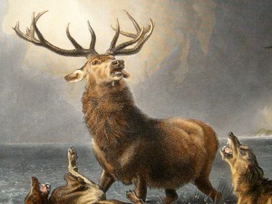 landseer-1870-antique-hand-col-print.-the-stag-at-bay-[2]-38592-p